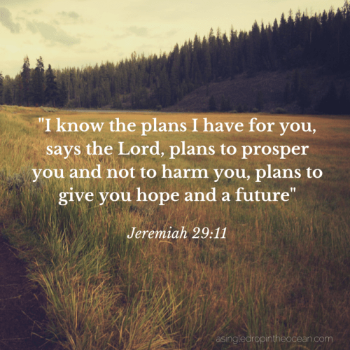 I know the plans I have for you says the Lord
