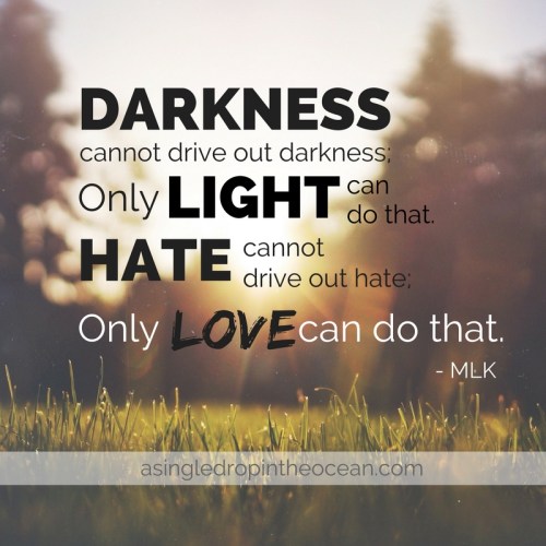 darkness-cannot-drive-out-darkness-only-light-can-do-that-mlk
